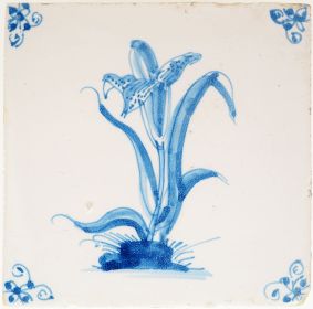 Antique Delft tile depicting an iris flower, 18th century