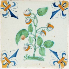 Antique Delft wall tile depicting a polychrome strawberry plant, 17th century