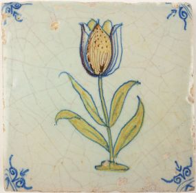 Antique Delft tile depicts a tulip, 17th century