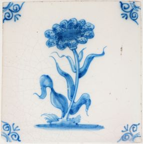 Antique Delft tile with stylized carnation flower, 18th century