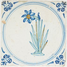 Antique polychrome Delft tile with narcissus, 17th century