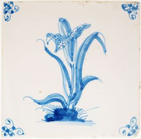 Antique Delft tile depicting an iris flower, 18th century