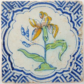 Antique Delft tile with an Iris in full bloom, 17th century