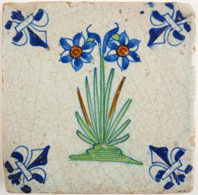 Antique Delft tile with a narcissus, 17th century