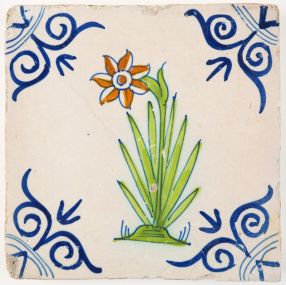 Antique Delft tile with polychrome Daffodil flower, 17th century