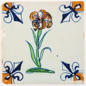 Antique Delft tile with a polychrome Iris flower, 17th century Gouda